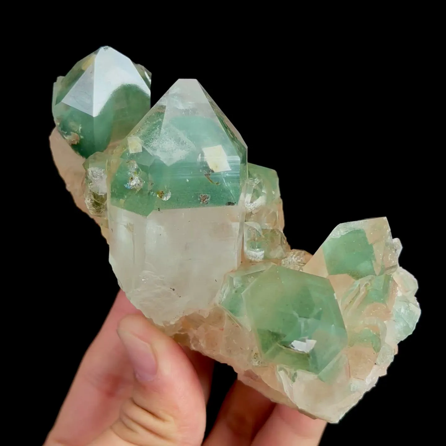 specimen video