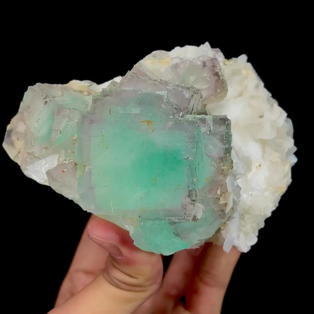specimen video