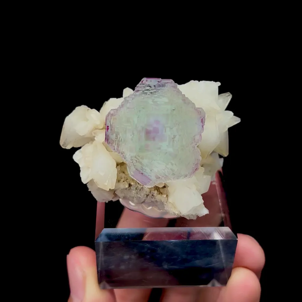 specimen video