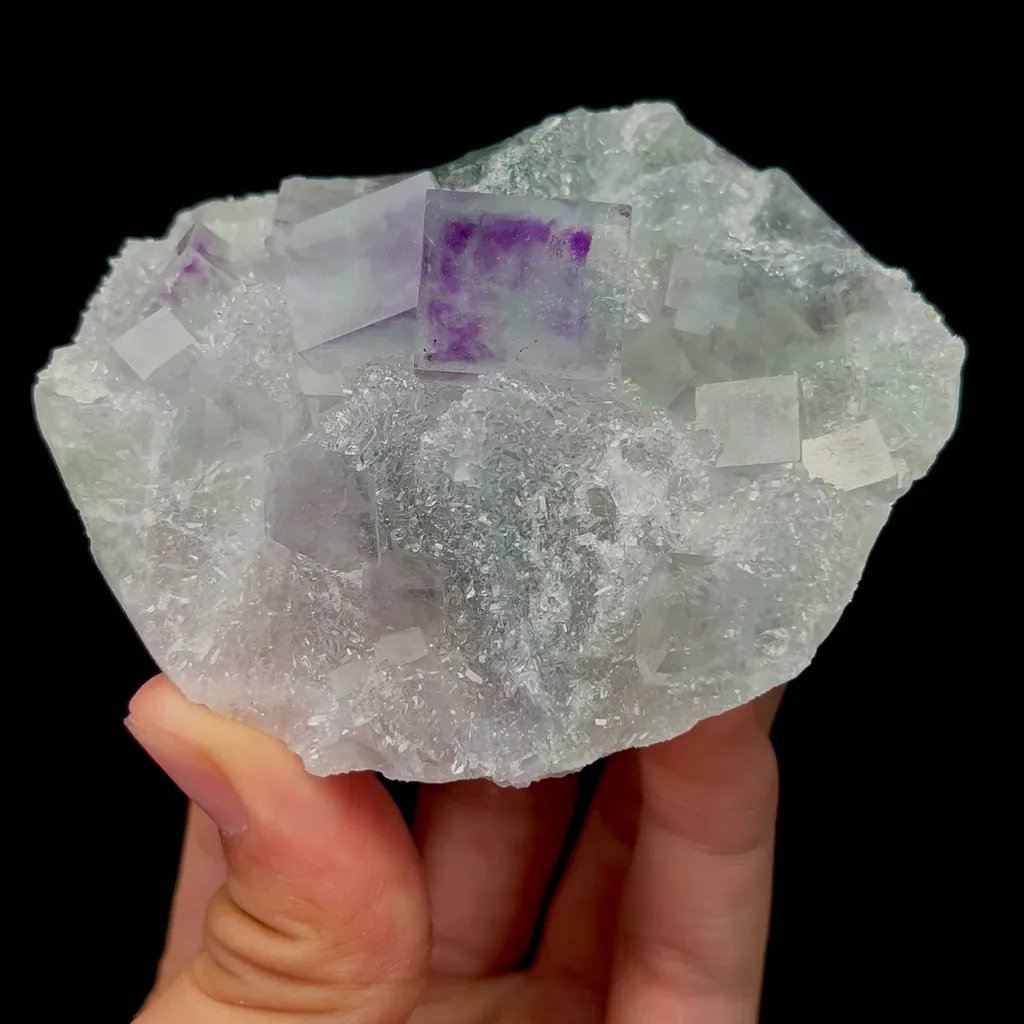 specimen video