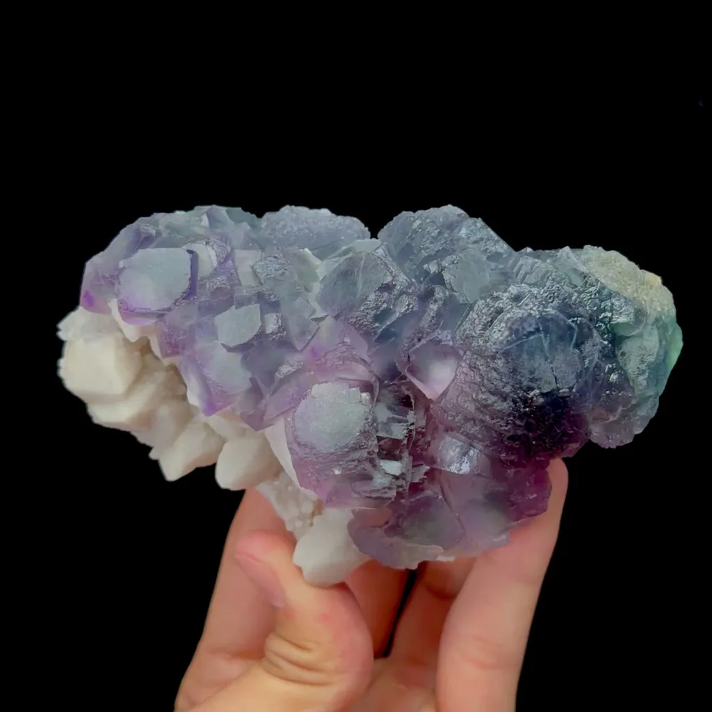 specimen video