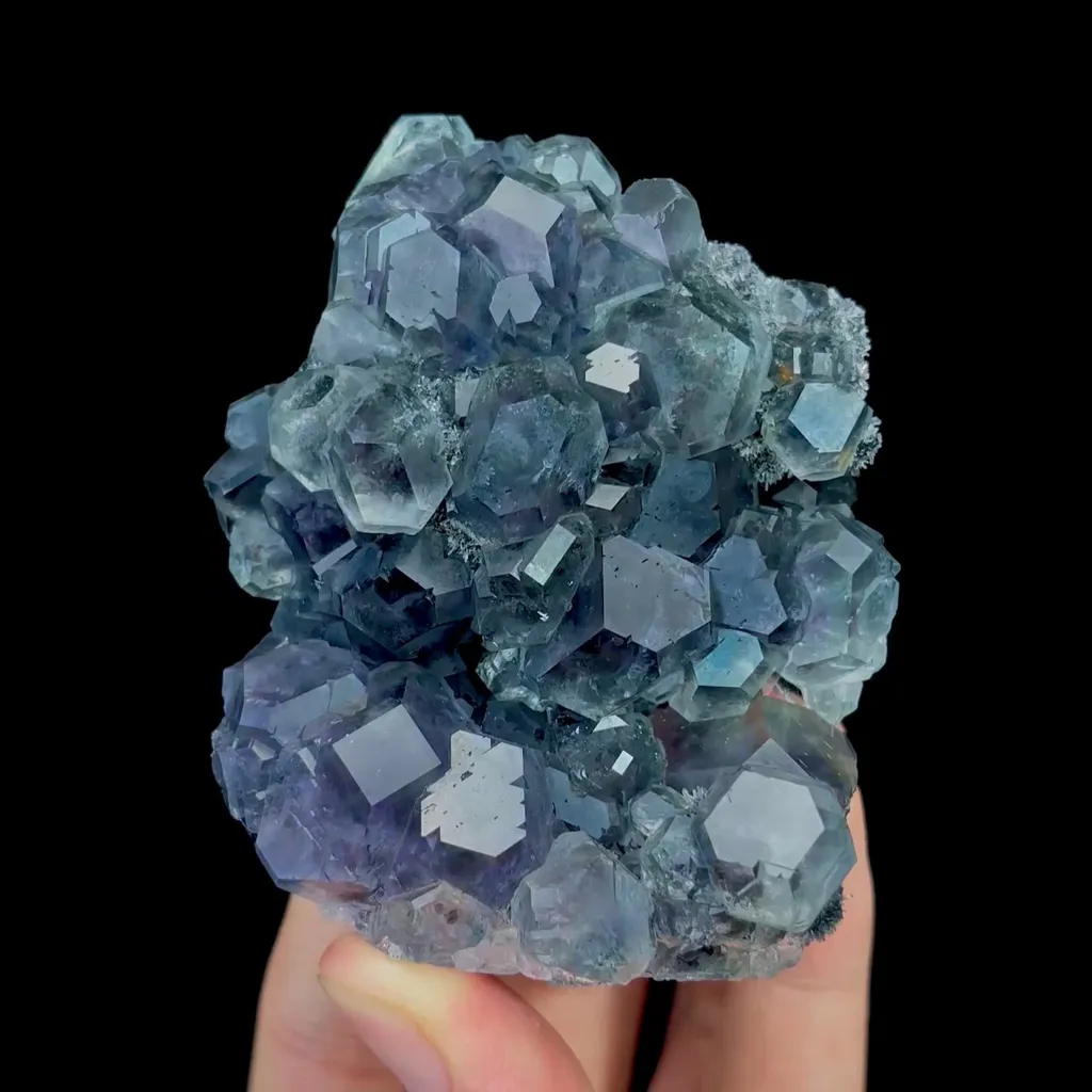 specimen video