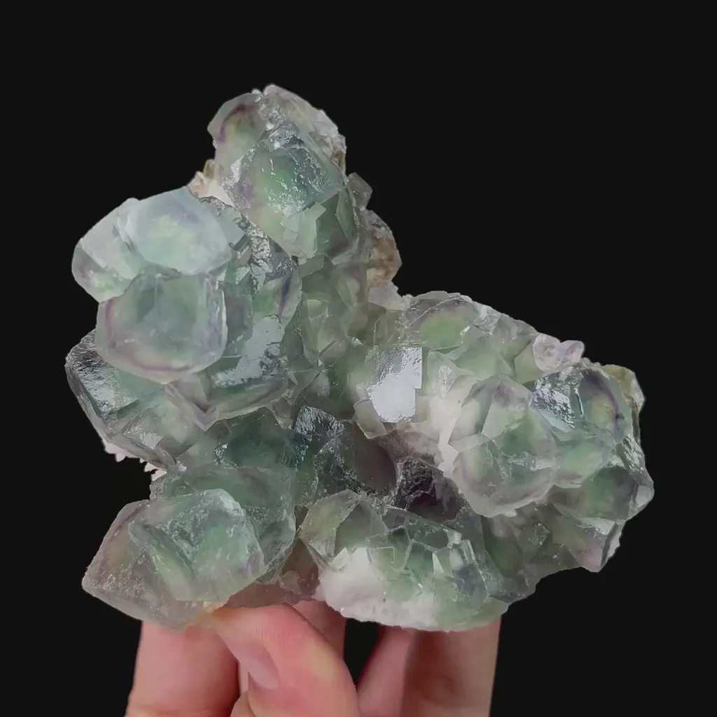 specimen video