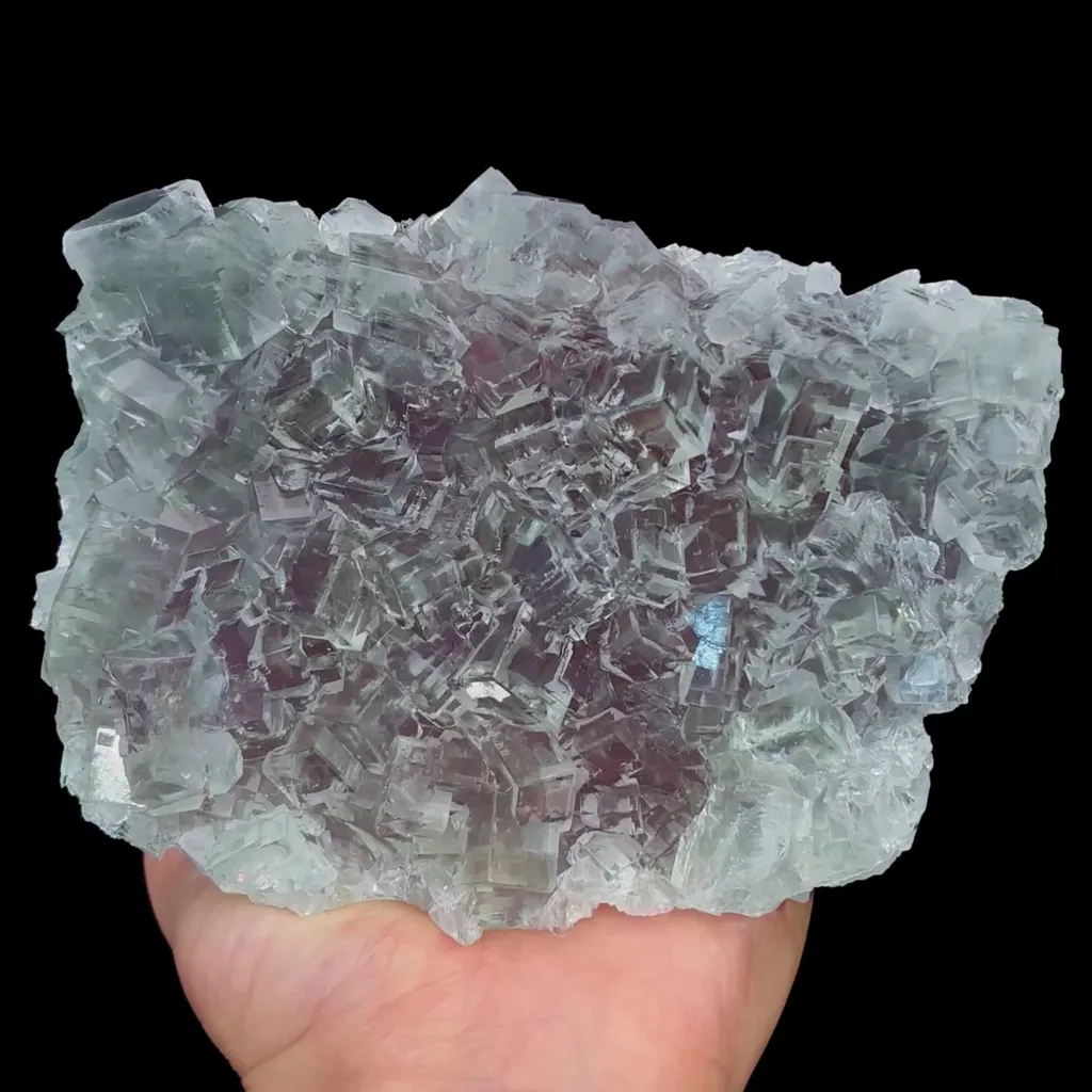 specimen video