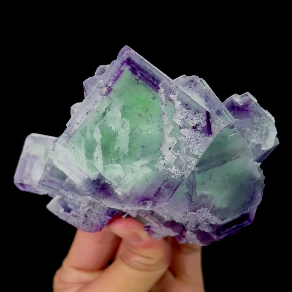specimen video