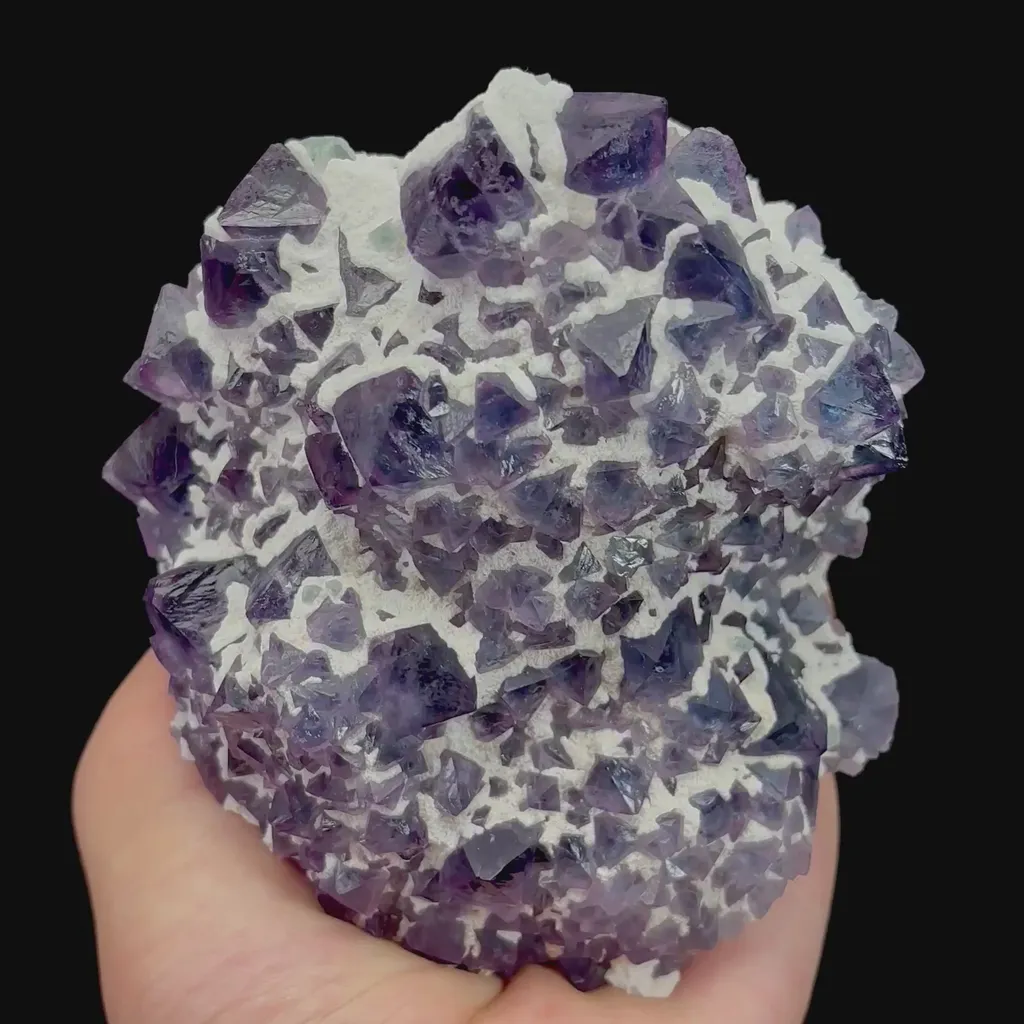 specimen video