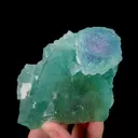 specimen video