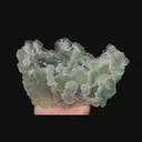 specimen video