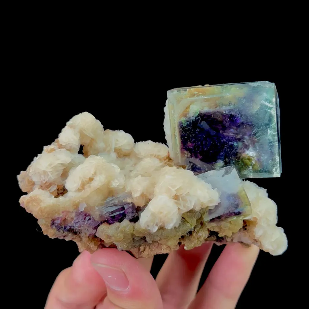specimen video