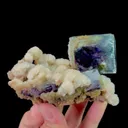 specimen video