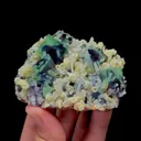 specimen video