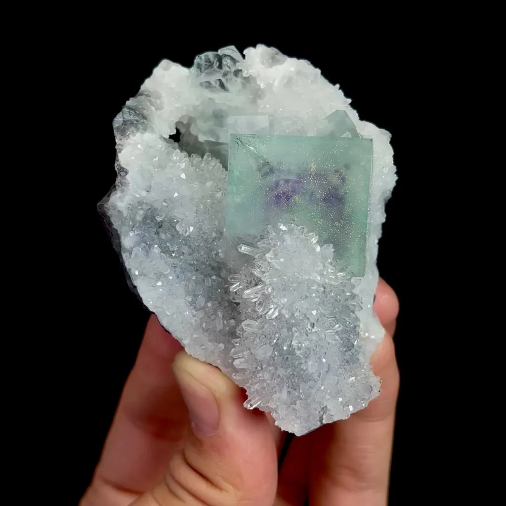 specimen video