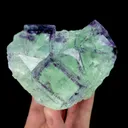 specimen video