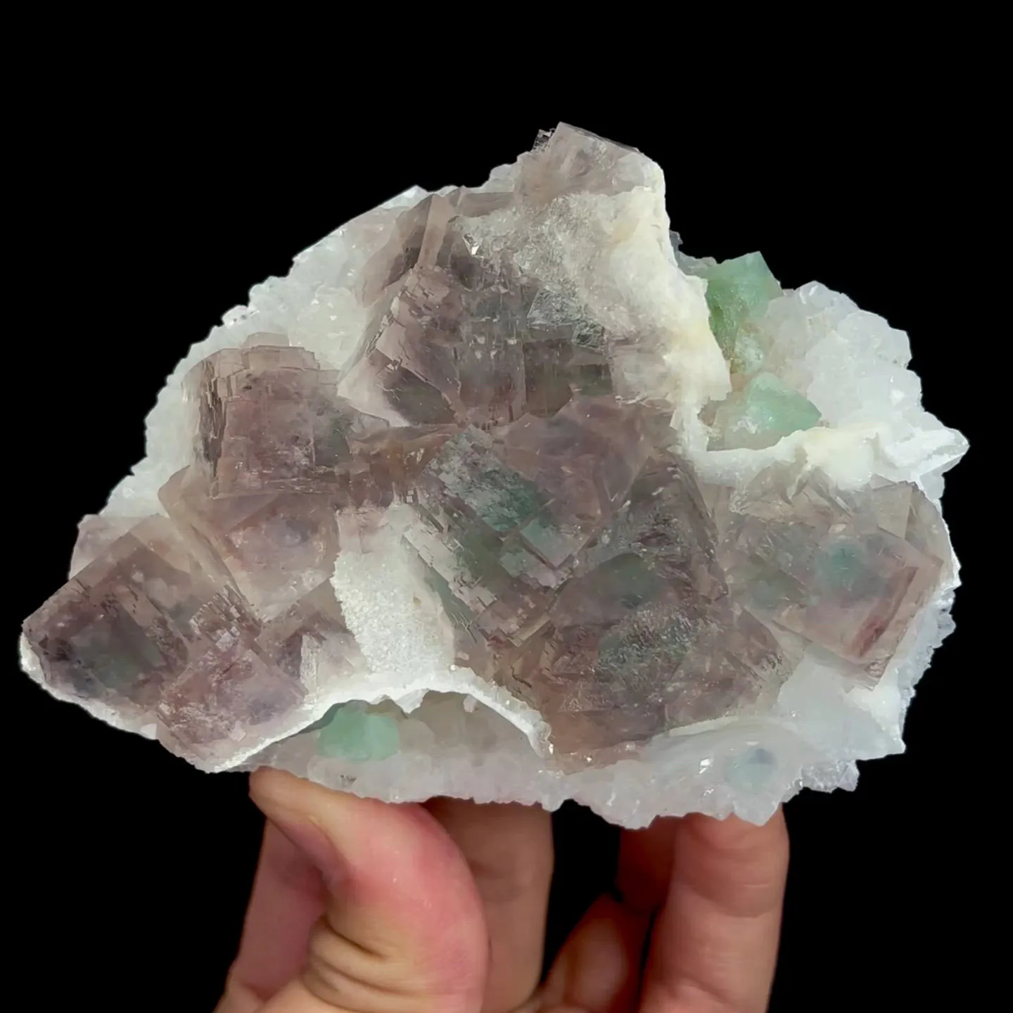 specimen video