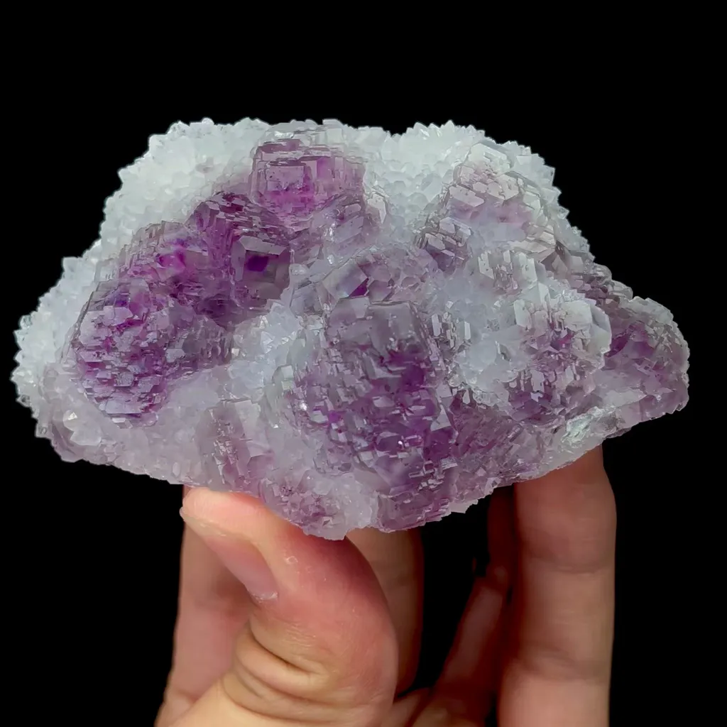 specimen video