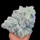 specimen video