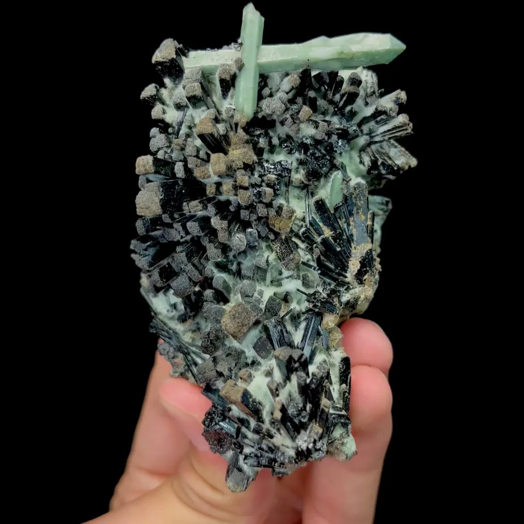 specimen video