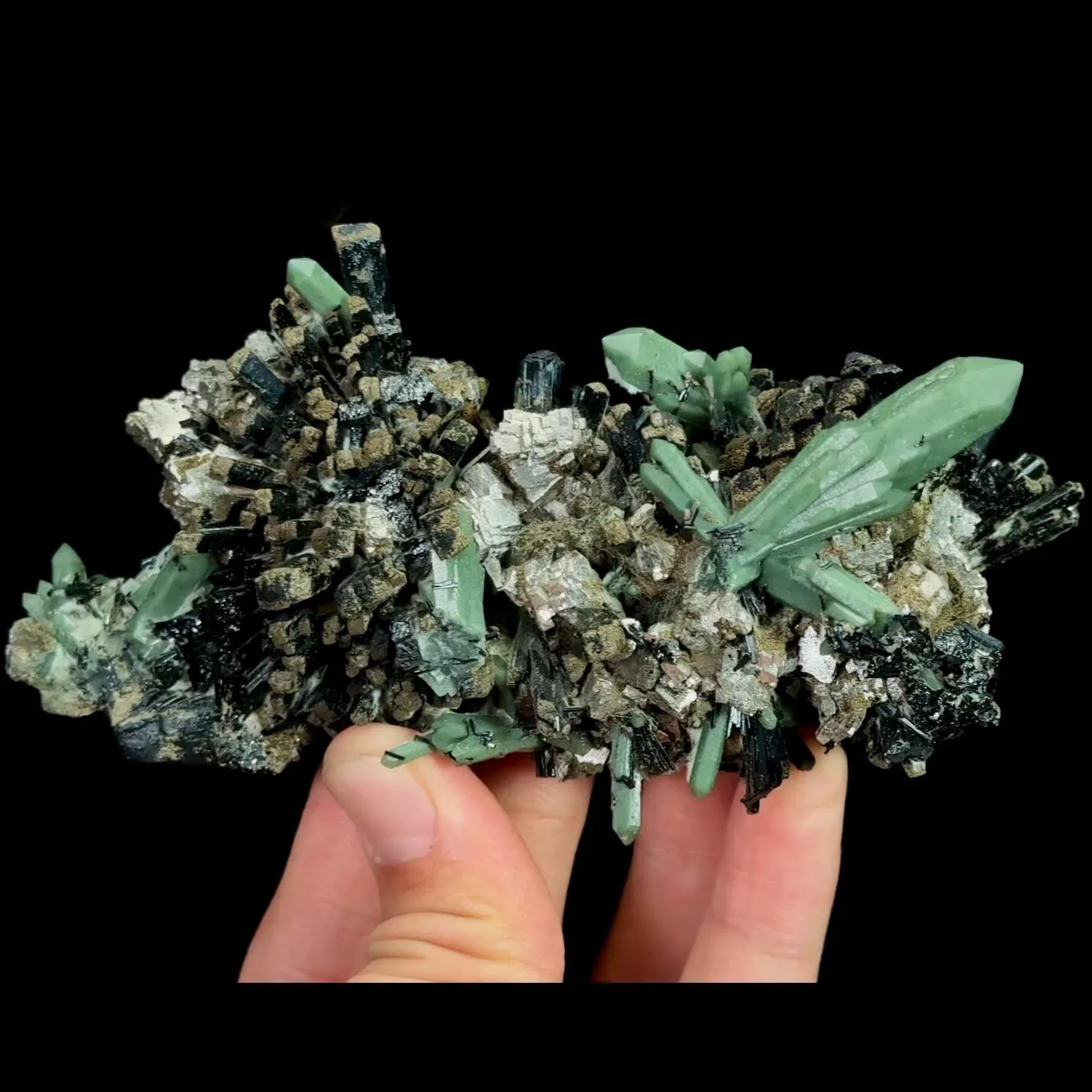 specimen video