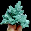 specimen video