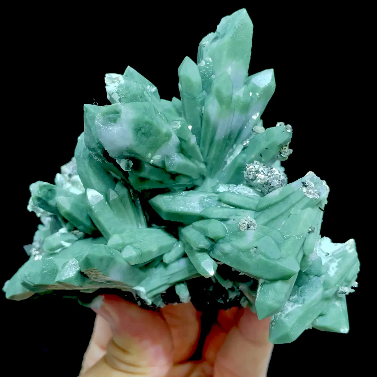 specimen video