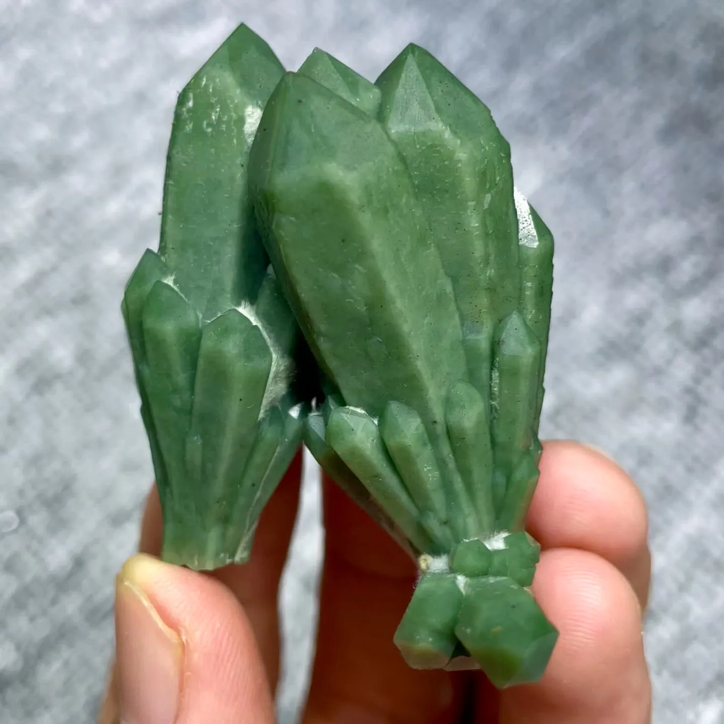 specimen video
