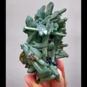 specimen video