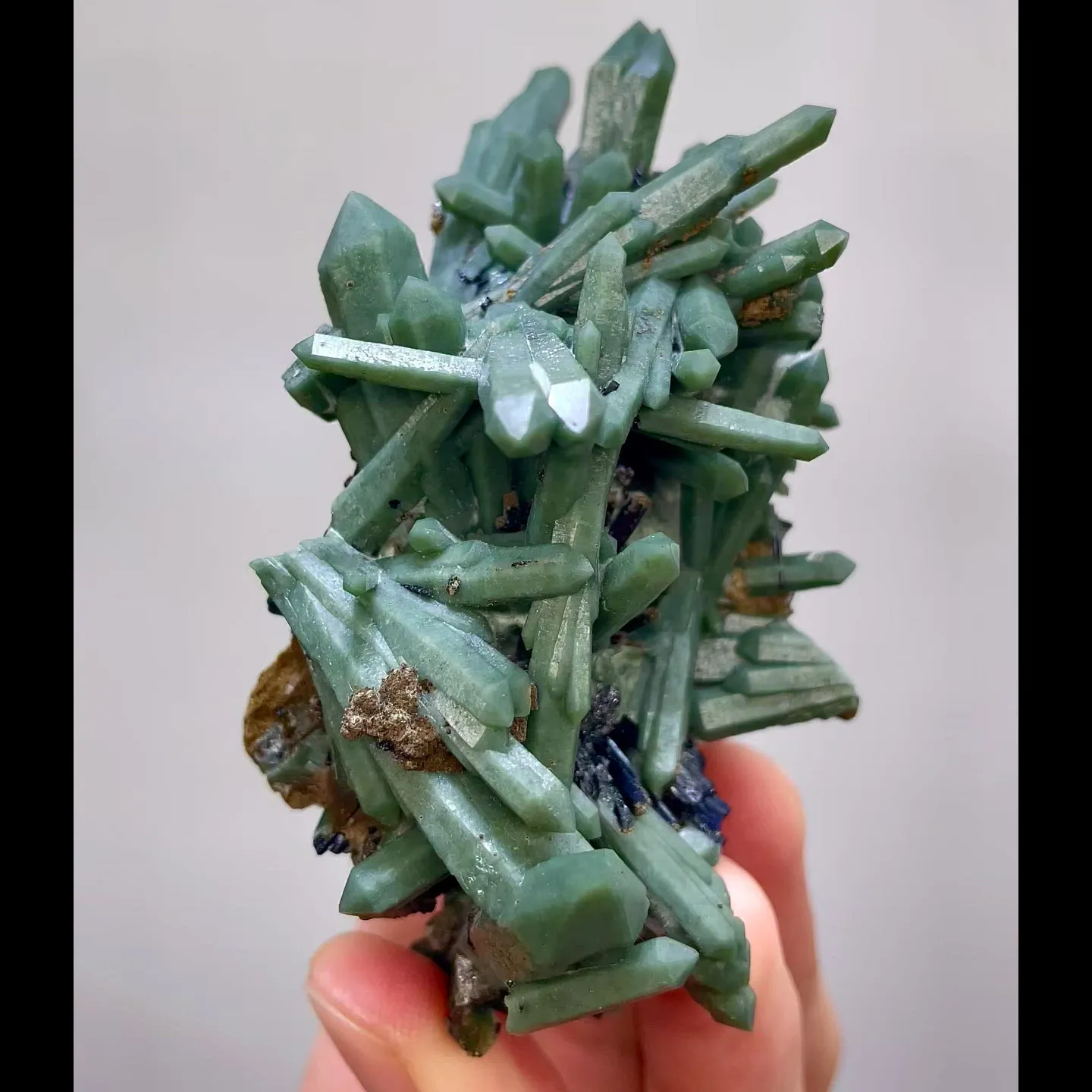 specimen video