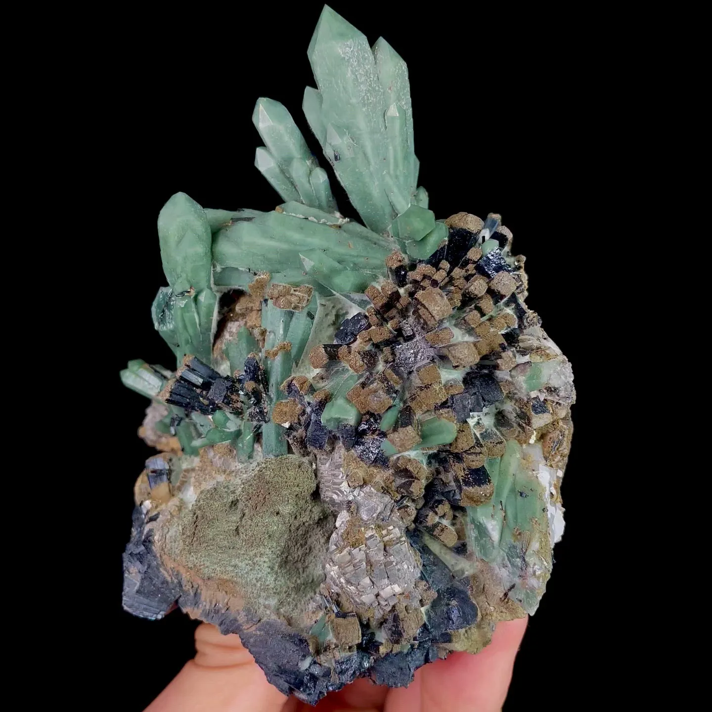 specimen video