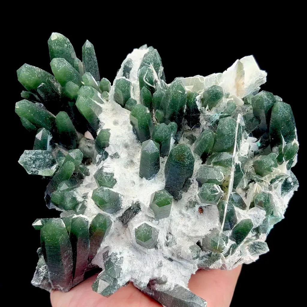 specimen video
