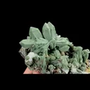 Natural Green Quartz Cluster, Mineral Specimen: Inner Mongolia,China (140*70*85MM) - image 4