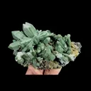 Natural Green Quartz Cluster, Mineral Specimen: Inner Mongolia,China (140*70*85MM) - image 6