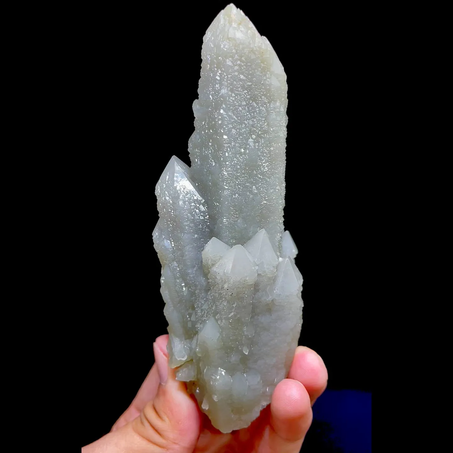 specimen video