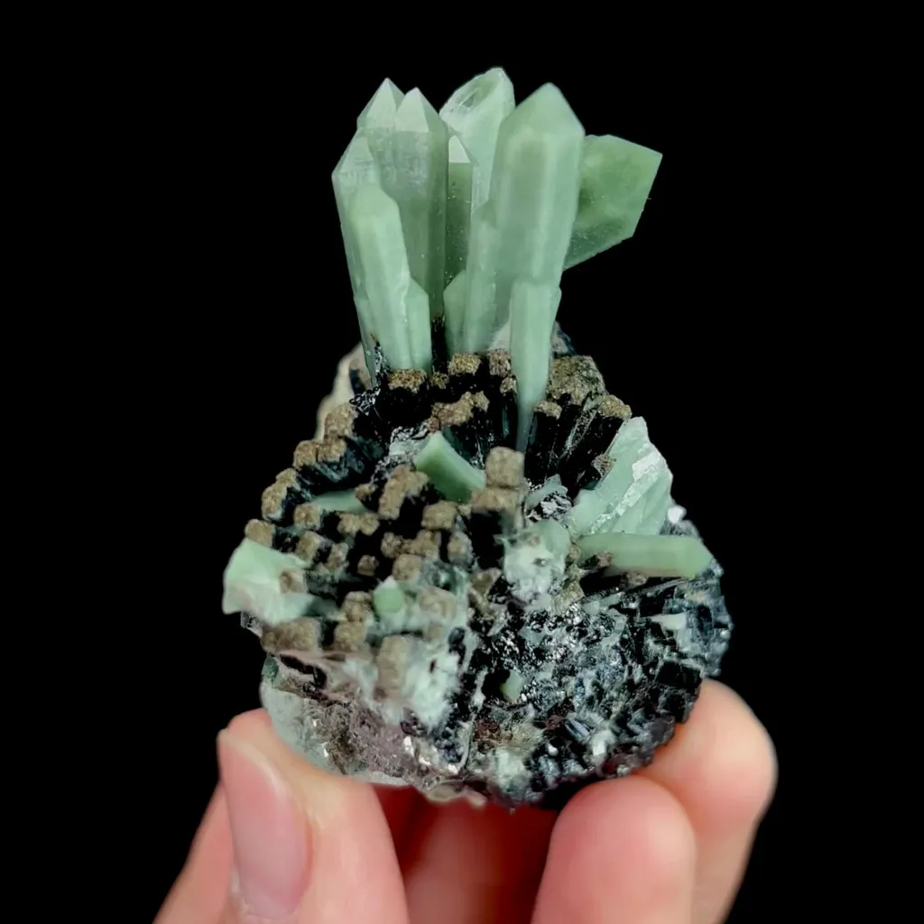 specimen video