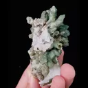 Natural Green Quartz Cluster, Mineral Specimen: Inner Mongolia,China (50*75*40MM) - image 6
