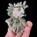 Natural Green Quartz Cluster, Mineral Specimen: Inner Mongolia,China (50*75*40MM) - image 5