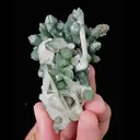 Natural Green Quartz Cluster, Mineral Specimen: Inner Mongolia,China (50*75*40MM) - image 4