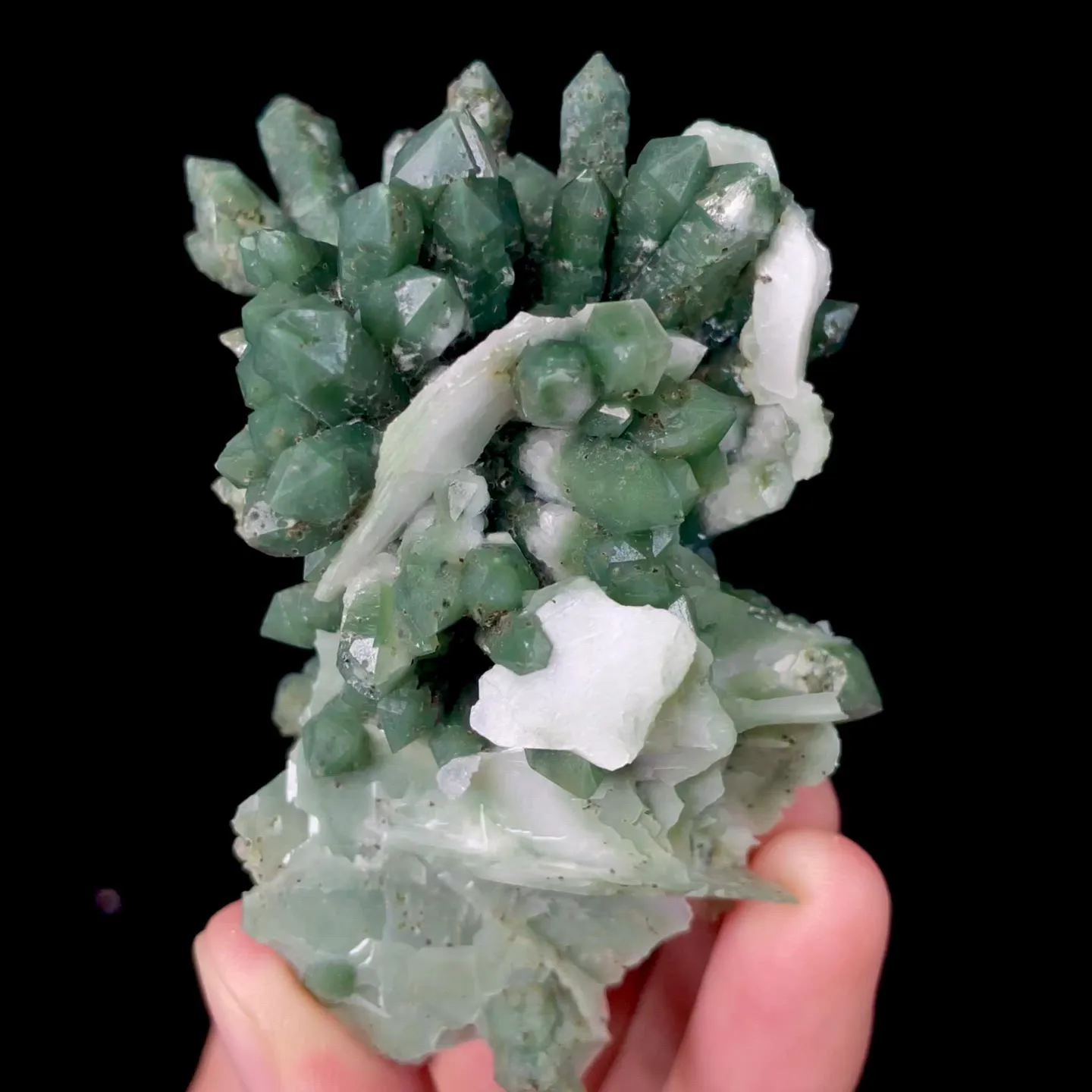 specimen video