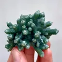 specimen video