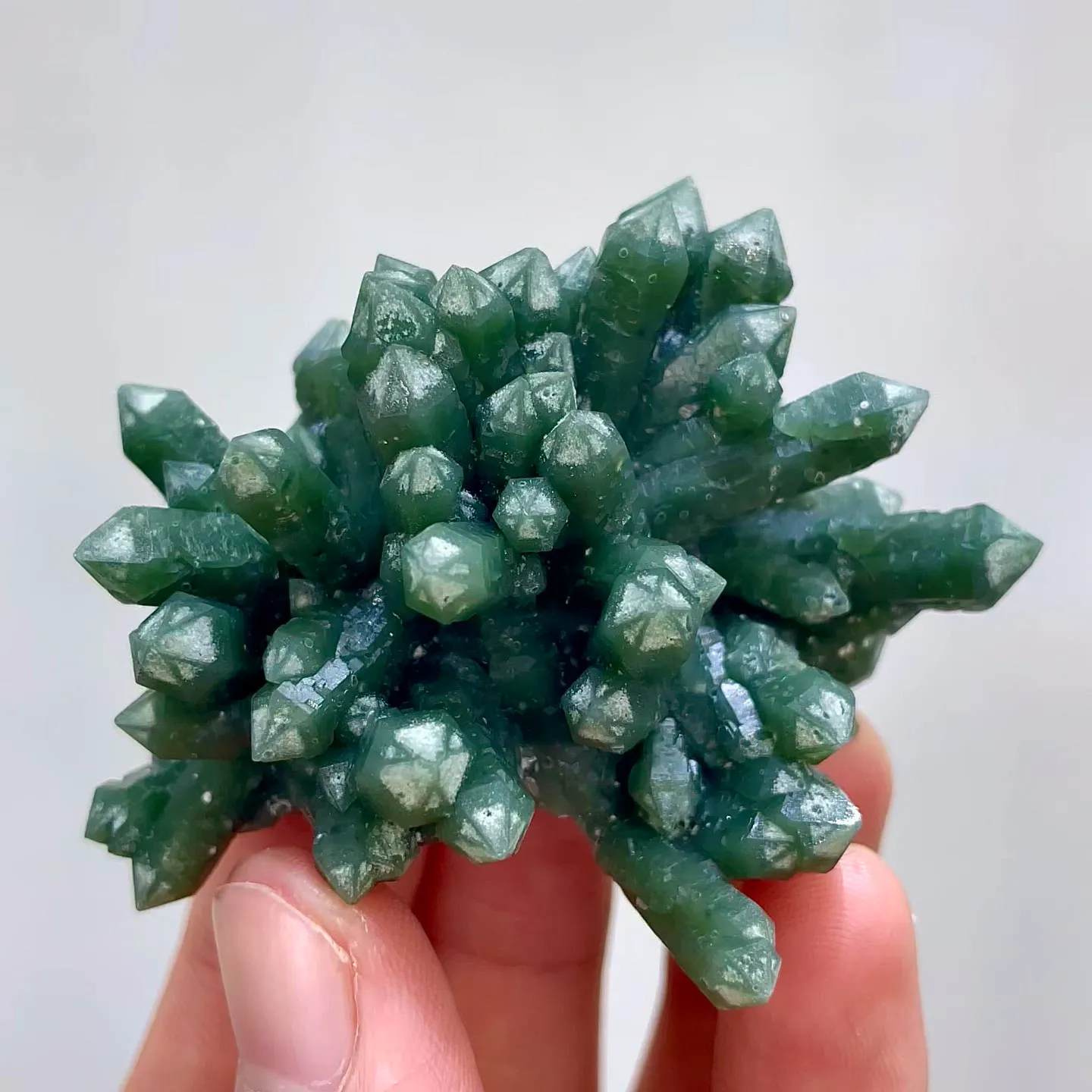 specimen video