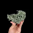 Natural Green Quartz Cluster, Mineral Specimen: Inner Mongolia,China (70*140*50MM) - image 3
