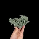 Natural Green Quartz Cluster, Mineral Specimen: Inner Mongolia,China (70*140*50MM) - image 4