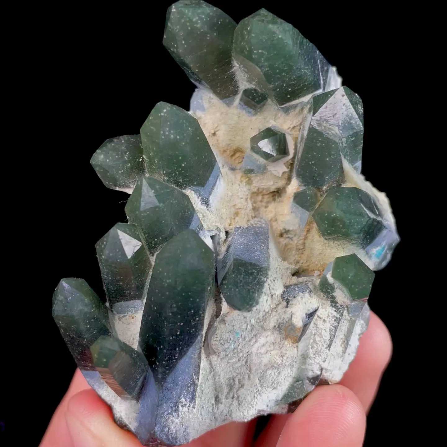 specimen video