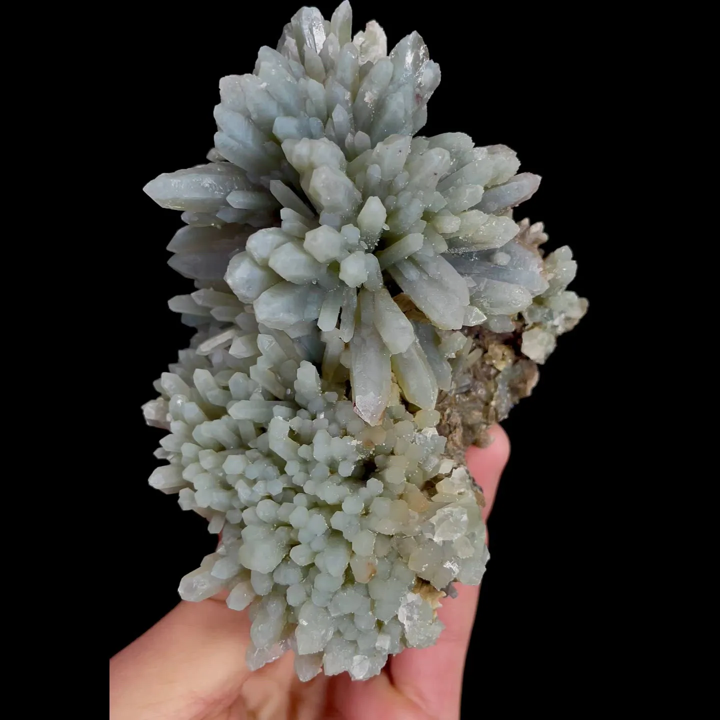 specimen video