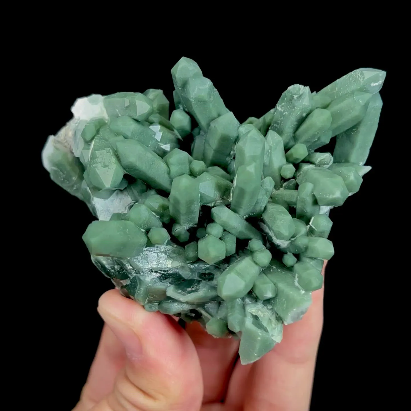 specimen video