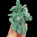 specimen video