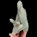 specimen video