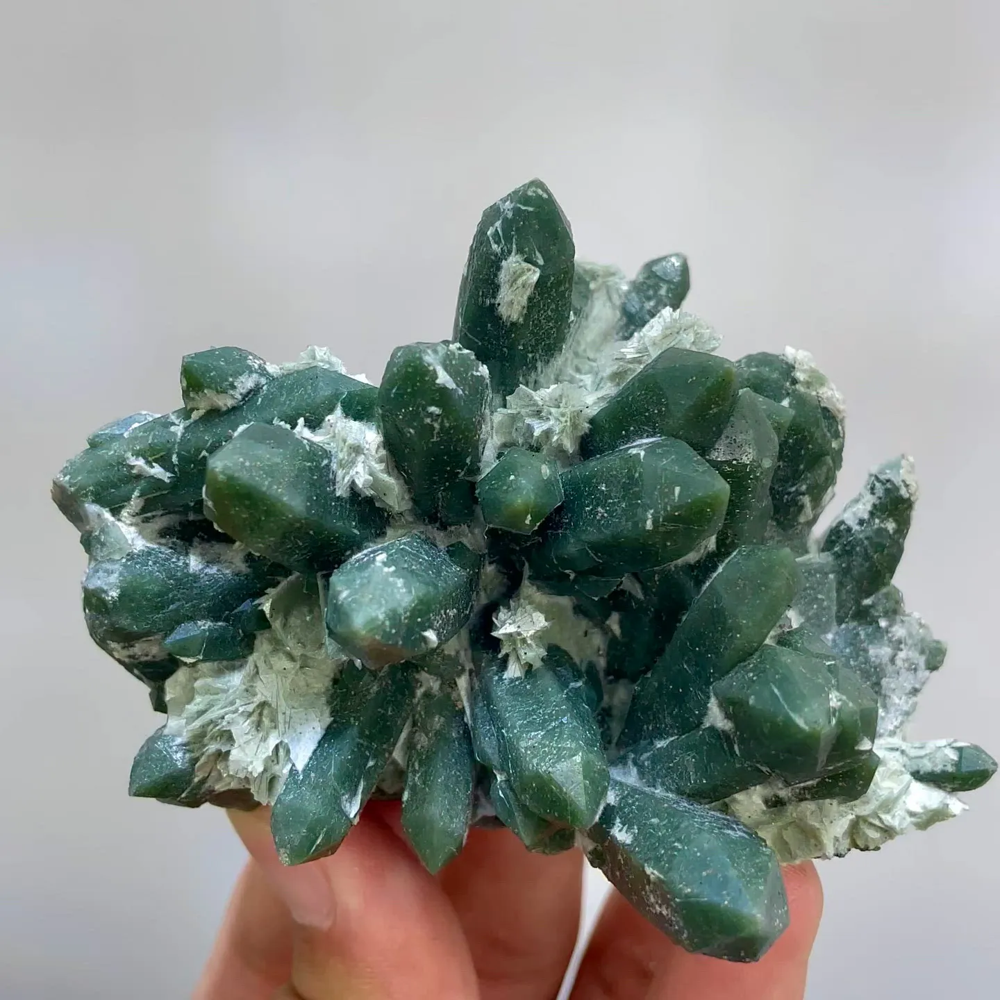 specimen video