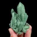 specimen video