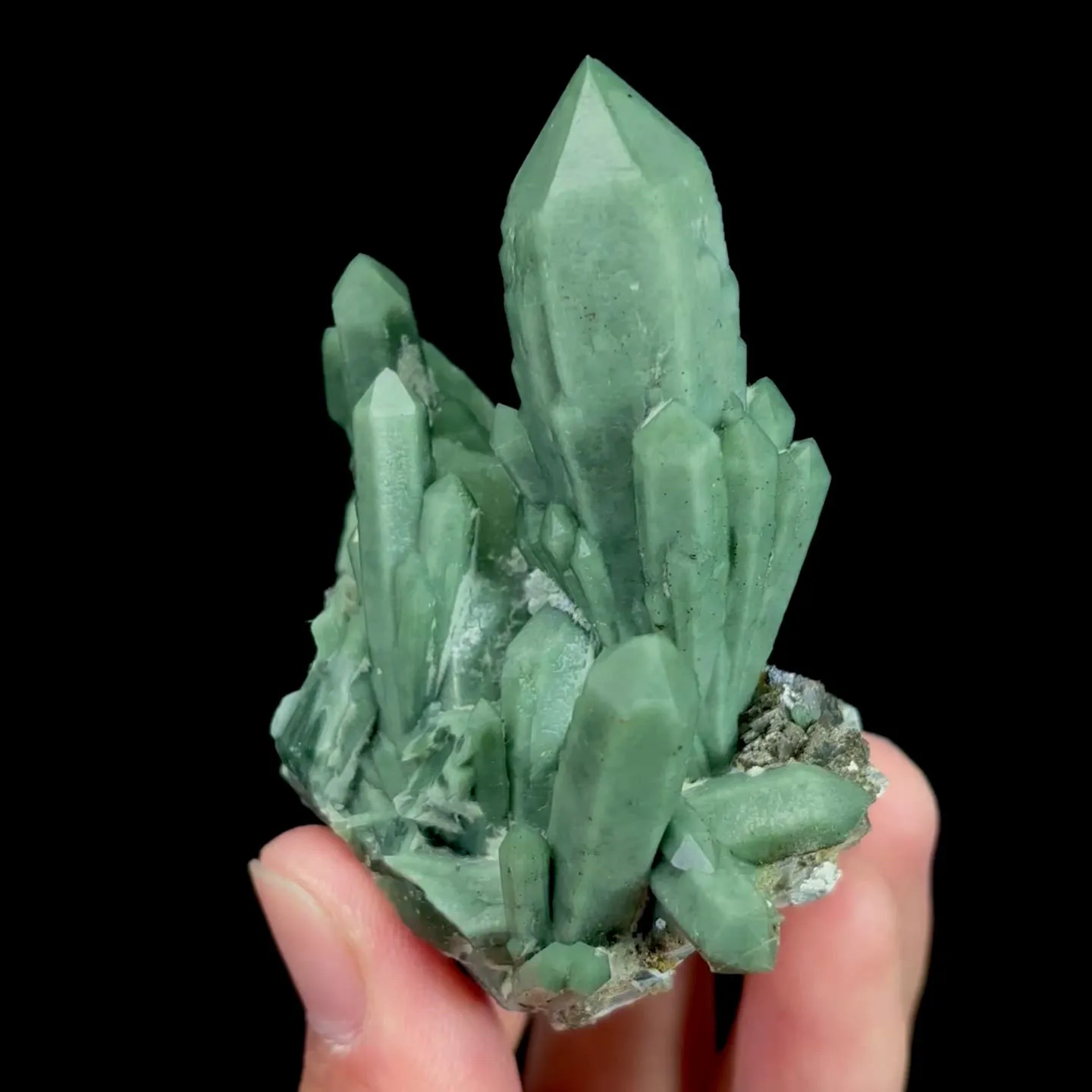 specimen video