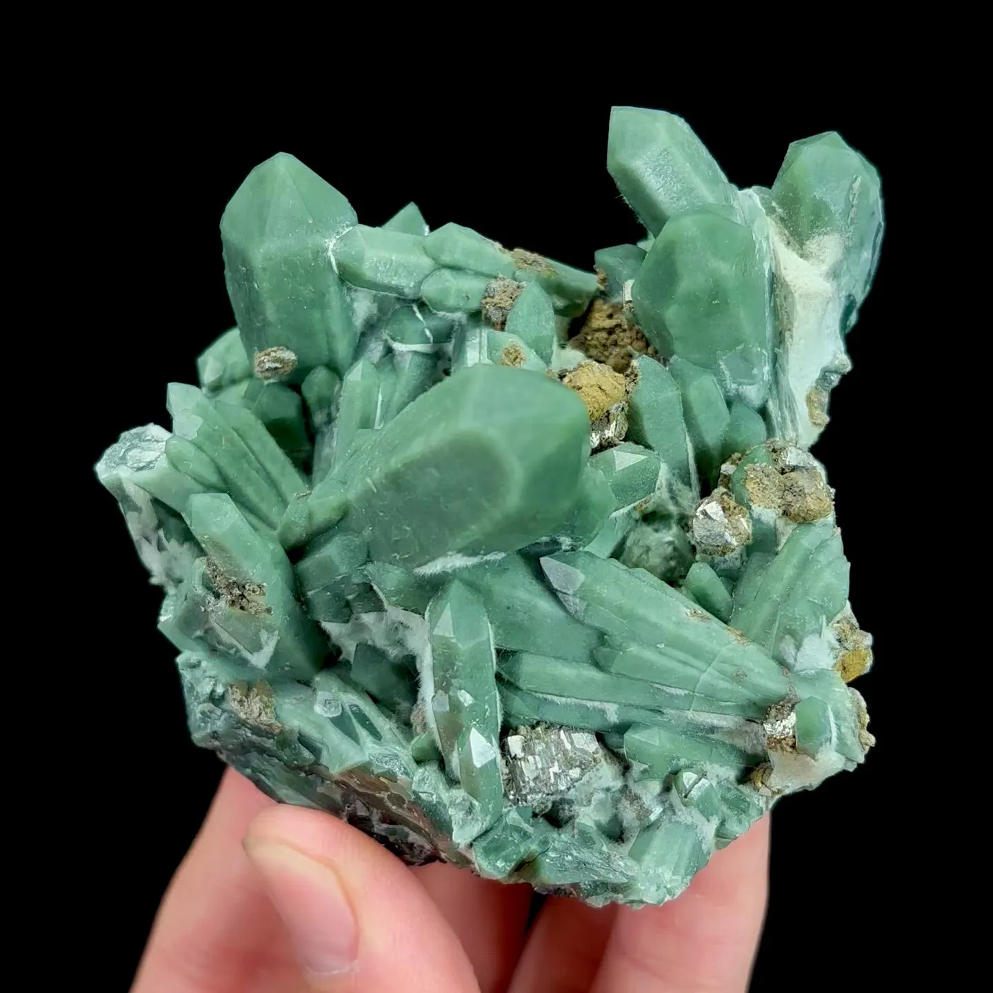 specimen video